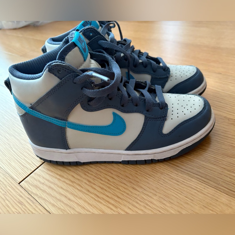 Boys Nike Dunk